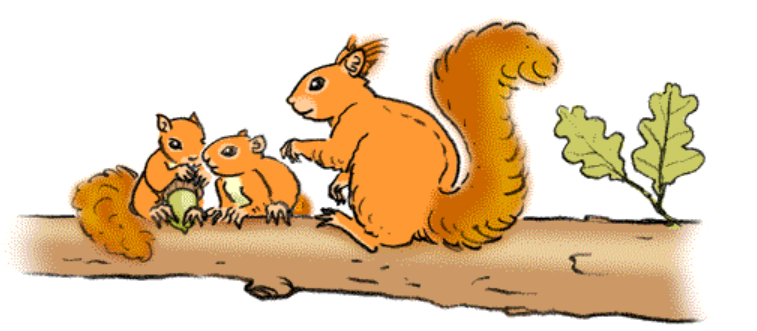 charte des jardins écureuils