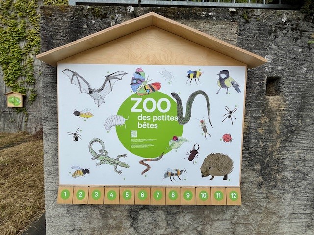 Mini zoo insectes Crosets