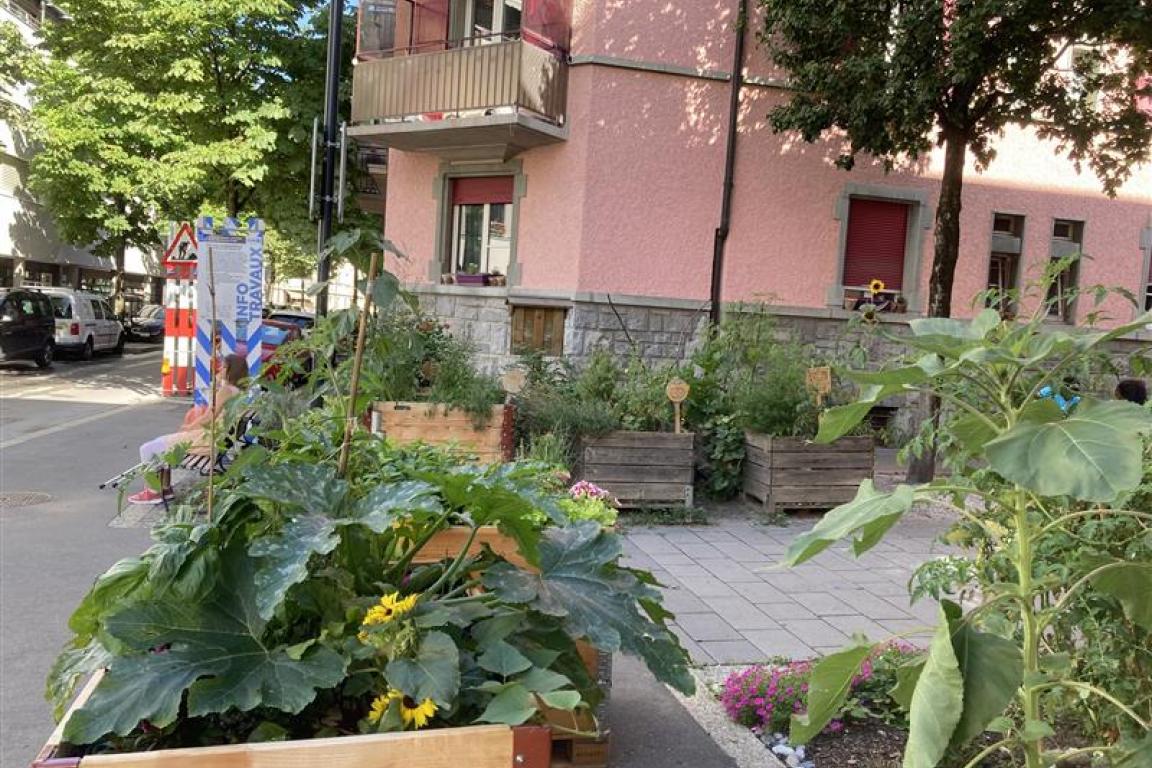 Jardins de poche de la rue du Nord