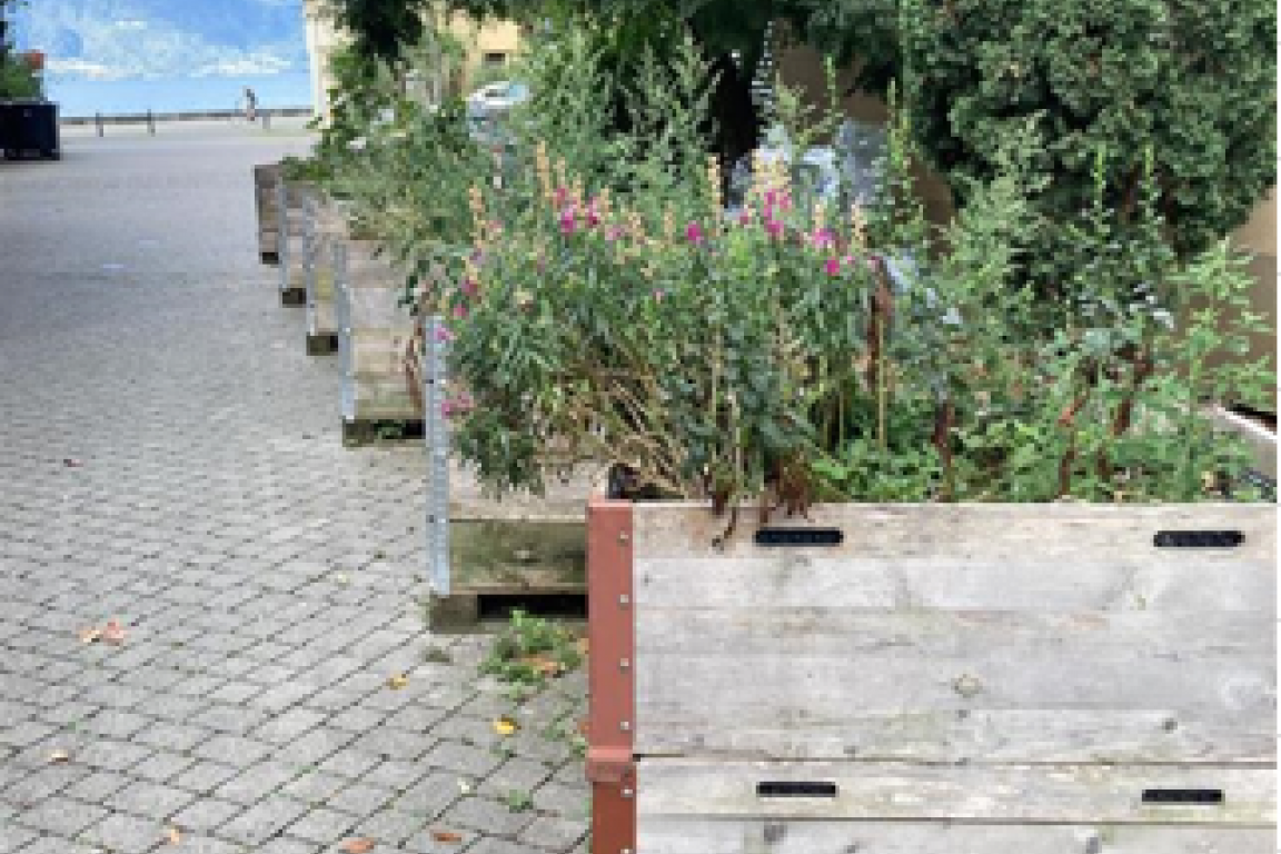 Jardins de poche de la rue des jardins