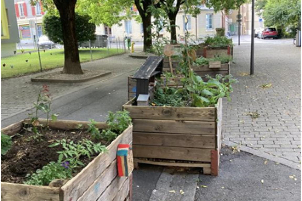 Jardins de poche de la Byronne