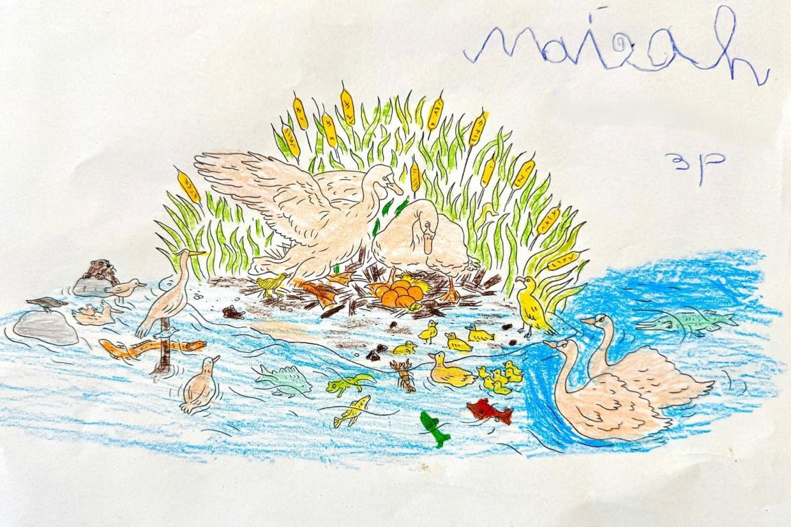 Maisah 3-4P
