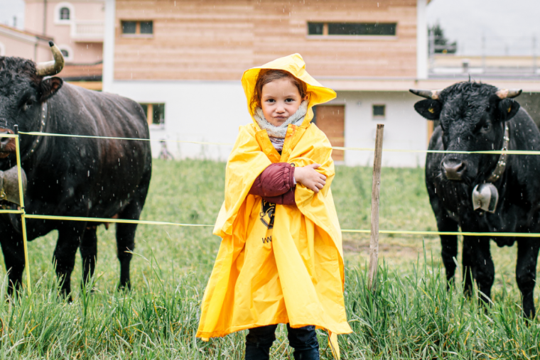 Pedibus : 20 ans que ça marche !