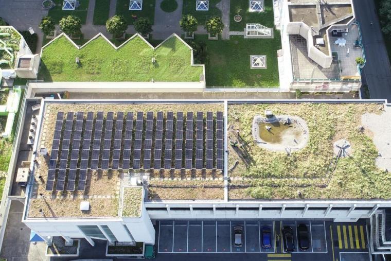 Toit SIGE Maria Belgia