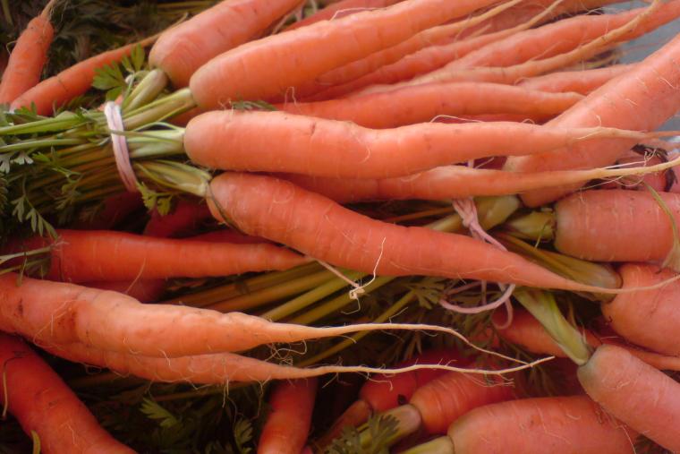 Foire de la St-Martin