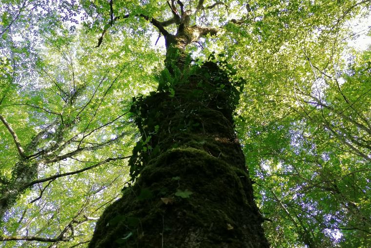 Fête de la nature Vevey