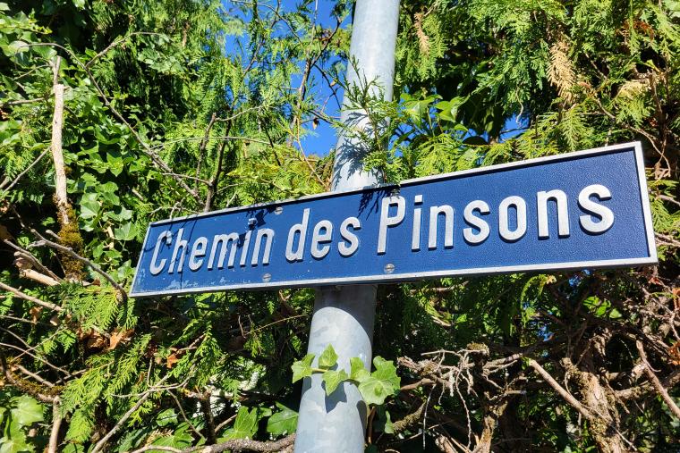 Chemin des Pinsons - Vevey